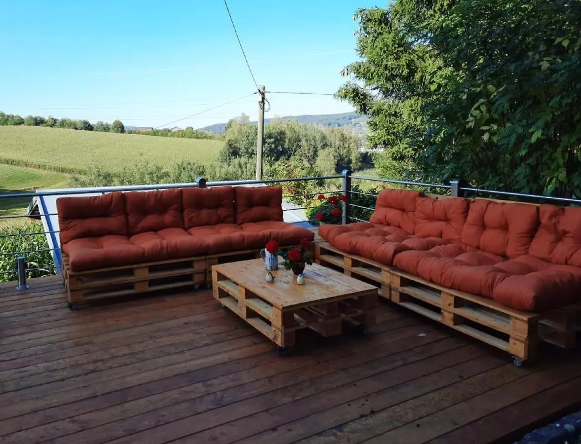 Ferienwohnung Schäfer Rinchnach Apartment